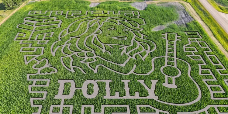 ECCO I LABIRINTI DI MAIS IN RICORDO DI DOLLY PARTON