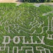 ECCO I LABIRINTI DI MAIS IN RICORDO DI DOLLY PARTON
